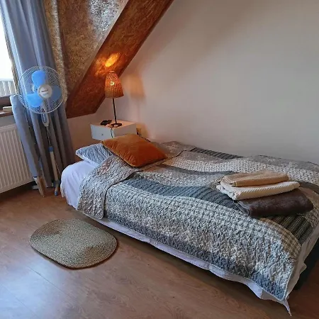 Solorena * Junoszyno